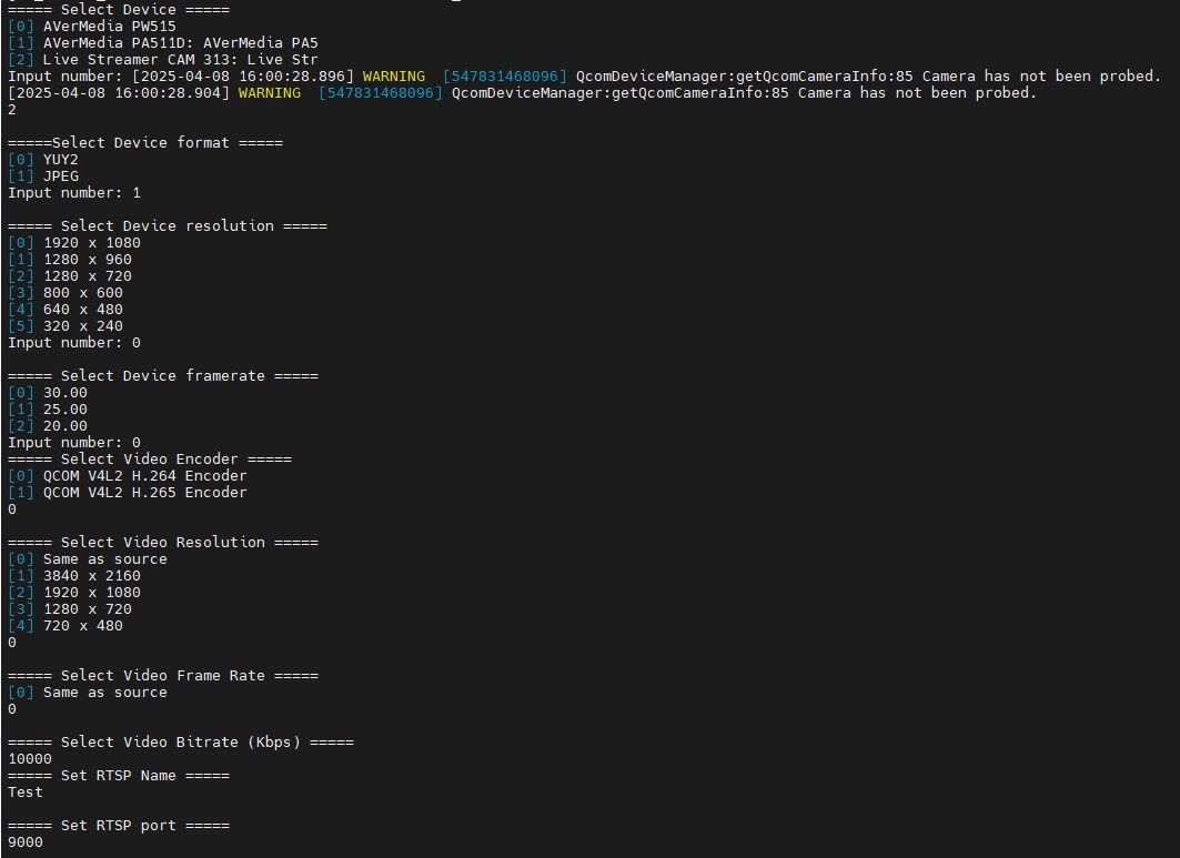 RTSP demo