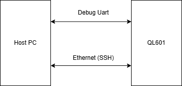 Connection between host and device